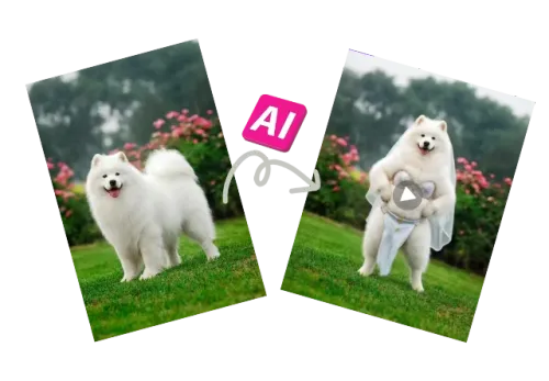 2.AI Generates the Belly Dance Video