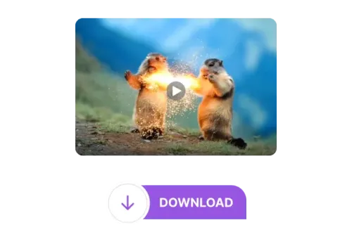 3. Download or Share
