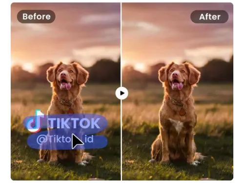 Clean Up Product and Commercial Images