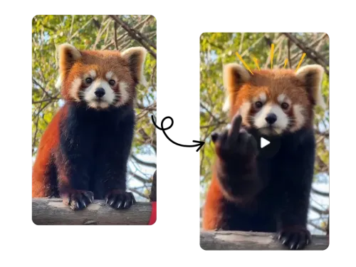 Red panda image before and after AI pet finger filter, showing gesture - making animation.