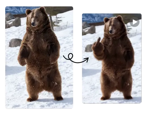 Brown bear photo transformed by AI pet finger filter to show a gesture, with animation play icon.