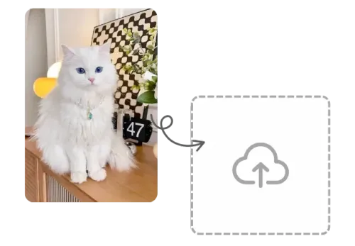 Upload Your Pet Photo