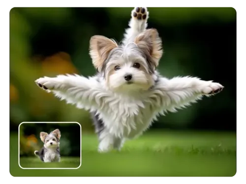 Perfect for Pet Birthdays, Reels & Profiles