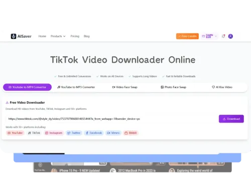 Easy Video Link Downloads