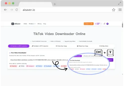 Paste the URL you just copied on the tiktok video downloader page of AISaver