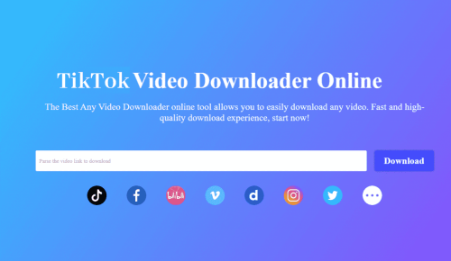 TikTok Video Downloader