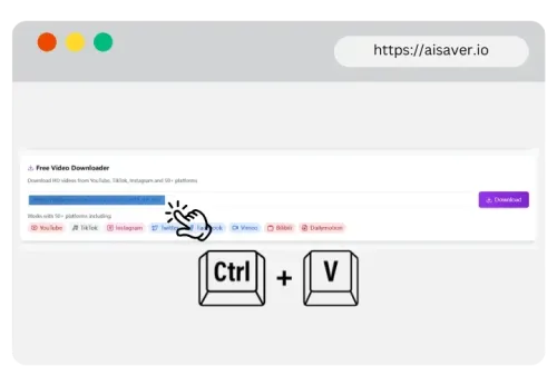 Step 3: Paste the Link Step 4: Click “Convert”