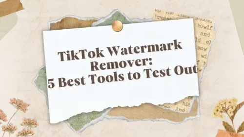 TikTok Watermark Remover:5 Best Tools You will Try