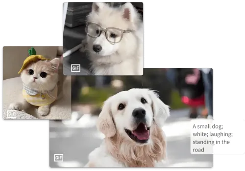Create GIFs instantly with the Text to Meme GIF Tool
