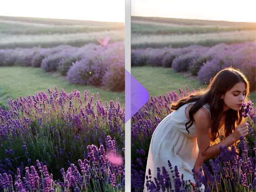Video to Video